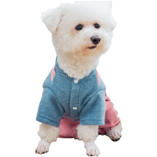 Custom thicken winter fashion teddy cotton dress pet dog clothes