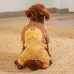 Custom thicken teddy cotton dress pet dog clothes