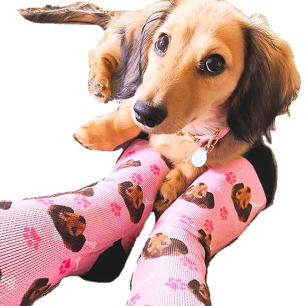 Custom novelty unisex polyester dog print socks Custom novelty unisex polyester dog print socks