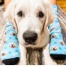 Custom novelty unisex polyester dog print socks Custom novelty unisex polyester dog print socks