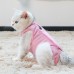 Cat Surgery Recovery Suit Clothes for Abdominal Wounds
