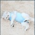 Cat Surgery Recovery Suit Clothes for Abdominal Wounds