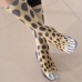 Wholesale Custom Animal Fur Leopard Printing Socks for Amazon