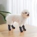 Wear Straps Traction Control Dog Grip Socks with for Indoor Hardwood Floor
