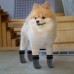 Dog Socks for Hardwood Floor with Strap Indoor Anti Slip Knit Paw Protector Traction Control Dog Socks for Hardwood Floor with Strap Indoor Anti Slip Knit Paw Protector Traction Control