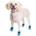 Double Side Anti-Slip Dog Socks with Adjustable Straps Puppy Paw Protector Socks with Grippings Strong Traction Control for Pet Dog Indoor on Hardwood Floor Wear (Medium) Double Side Anti-Slip Dog Socks with Adjustable Straps Puppy Paw Protector Socks with Grippings Strong Traction Control for Pet Dog Indoor on Hardwood Floor Wear (Medium)