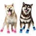 Double Side Anti-Slip Dog Socks with Adjustable Straps Puppy Paw Protector Socks with Grippings Strong Traction Control for Pet Dog Indoor on Hardwood Floor Wear (Medium) Double Side Anti-Slip Dog Socks with Adjustable Straps Puppy Paw Protector Socks with Grippings Strong Traction Control for Pet Dog Indoor on Hardwood Floor Wear (Medium)
