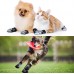 Dog Socks for Small Medium Dogs Dog Indoor Socks Anti Slip Dog Socks Dog Socks with Grippings for Hardwood Floors Indoor (Medium) Dog Socks for Small Medium Dogs Dog Indoor Socks Anti Slip Dog Socks Dog Socks with Grippings for Hardwood Floors Indoor (Medium)