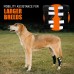 Rear Leg Hock Brace with Metal Spring Strips, Dog Leg Brace for Rear Leg, Hock & Ankle Support, Rear Dog Leg Brace for Large Dogs, Long Version, XL, 1 Pair Rear Leg Hock Brace with Metal Spring Strips, Dog Leg Brace for Rear Leg, Hock & Ankle Support, Rear Dog Leg Brace for Large Dogs, Long Version, XL, 1 Pair