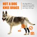 Rear Leg Hock Brace with Metal Spring Strips, Dog Leg Brace for Rear Leg, Hock & Ankle Support, Rear Dog Leg Brace for Large Dogs, Long Version, XL, 1 Pair Rear Leg Hock Brace with Metal Spring Strips, Dog Leg Brace for Rear Leg, Hock & Ankle Support, Rear Dog Leg Brace for Large Dogs, Long Version, XL, 1 Pair