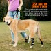 Rear Leg Hock Brace with Metal Spring Strips, Dog Leg Brace for Rear Leg, Hock & Ankle Support, Rear Dog Leg Brace for Large Dogs, Long Version, XL, 1 Pair Rear Leg Hock Brace with Metal Spring Strips, Dog Leg Brace for Rear Leg, Hock & Ankle Support, Rear Dog Leg Brace for Large Dogs, Long Version, XL, 1 Pair
