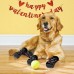 Anti Slip Dog Socks - Dog Gripping Socks with Straps Traction Control for Indoor on Hardwood Floor Wear, Pet Paw Protector for Small Medium Large Dogs Large Anti Slip Dog Socks - Dog Gripping Socks with Straps Traction Control for Indoor on Hardwood Floor Wear, Pet Paw Protector for Small Medium Large Dogs Large