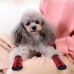 Anti Slip Dog Socks - Dog Gripping Socks with Straps Traction Control for Indoor on Hardwood Floor Wear, Pet Paw Protector for Small Medium Large Dogs S Anti Slip Dog Socks - Dog Gripping Socks with Straps Traction Control for Indoor on Hardwood Floor Wear, Pet Paw Protector for Small Medium Large Dogs S