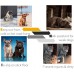 Dog Paw Protectors Anti Slip Pet Traction Pads Disposable Self Adhesive Dog Shoes Walking Assistant for Hardwood Floors, 6 Sets, 24 Pieces(XXL) Dog Paw Protectors Anti Slip Pet Traction Pads Disposable Self Adhesive Dog Shoes Walking Assistant for Hardwood Floors, 6 Sets, 24 Pieces(XXL)